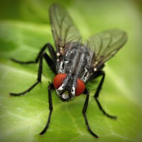 /album/www-cleyderjaimeguevarapena-net/photolia-a01-jpg/