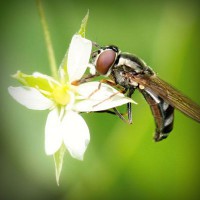 /album/www-cleyderjaimeguevarapena-net/photolia-a02-jpg/