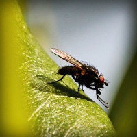 /album/www-cleyderjaimeguevarapena-net/photolia-a04-jpg/