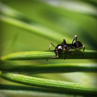 /album/www-cleyderjaimeguevarapena-net/photolia-a05-jpg/