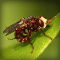 /album/www-cleyderjaimeguevarapena-net/photolia-a06-jpg/
