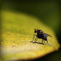 /album/www-cleyderjaimeguevarapena-net/photolia-a07-jpg/