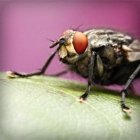 /album/www-cleyderjaimeguevarapena-net/photolia-a08-jpg/